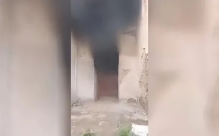 Bedenên Reqayê ji bêxwedîtiyê hildiweşin