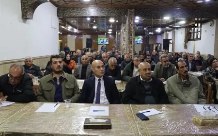 MSD'ê li Dêrikê panêleke li dar xist