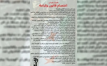 Organîzatorên xwepêşandana Şamê: Wê çalakî bidomin