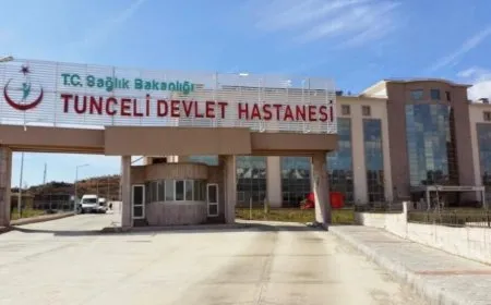 Di lêpirsîna Gulîstan Doku de walî û serbijîşk hatin girtin