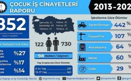 Li Tirkiyeyê 852 zarokan jiyana xwe ji dest dane