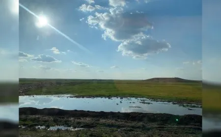 Bi barîna baranê re rêjeya ava binerd li Rojava bilind bûye