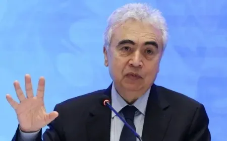 Serokê IEA’yê: Cîhan bi pirsgirêkeke mezin re rû bi rû ye