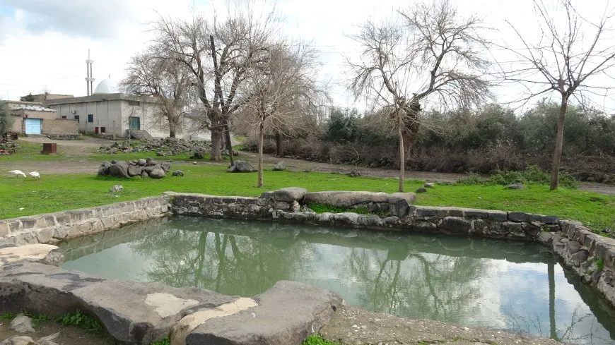 Bihara herêma Aliyan