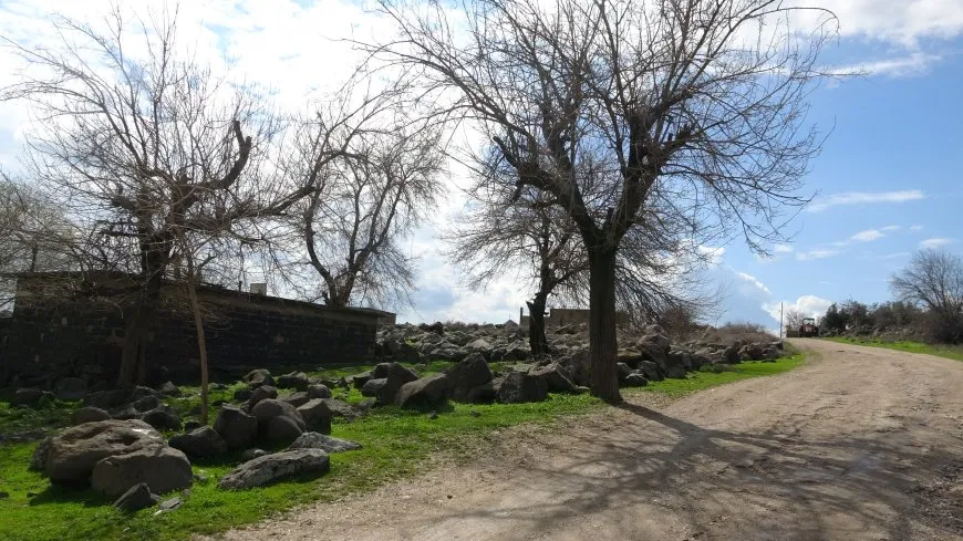 Bihara herêma Aliyan