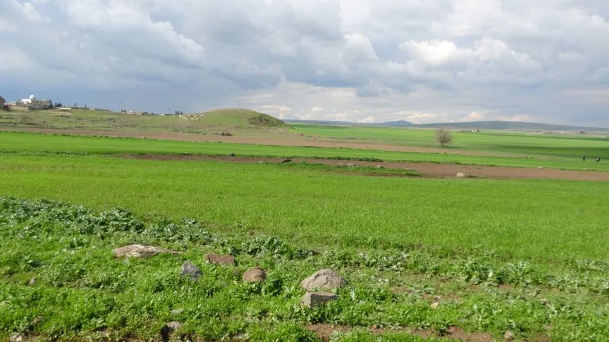 Bihara herêma Aliyan