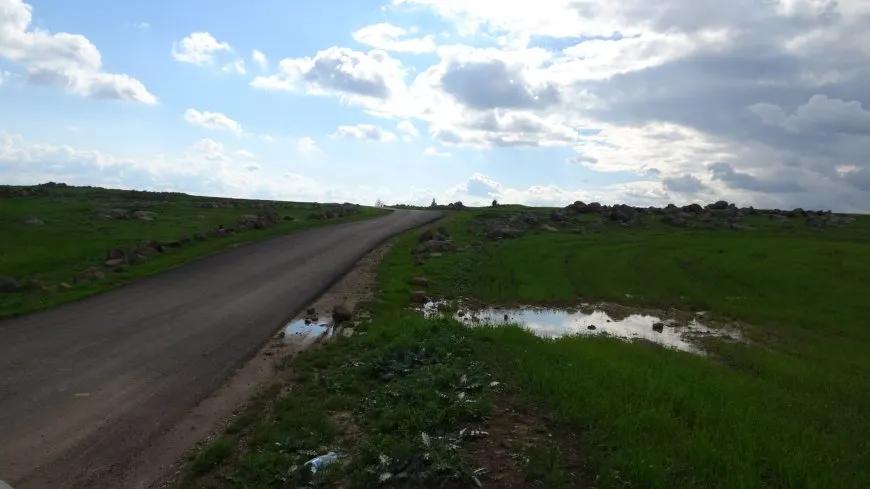 Bihara herêma Aliyan