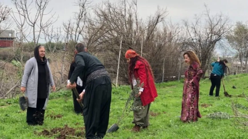 Li Silêmaniyê Rojbûna Rêber Apo bi çandina daran hat pîrozkirin