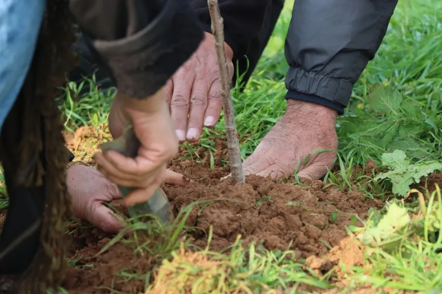 Kongra Star Rojbûna Rêber Apo bi çandina daran pîroz kir