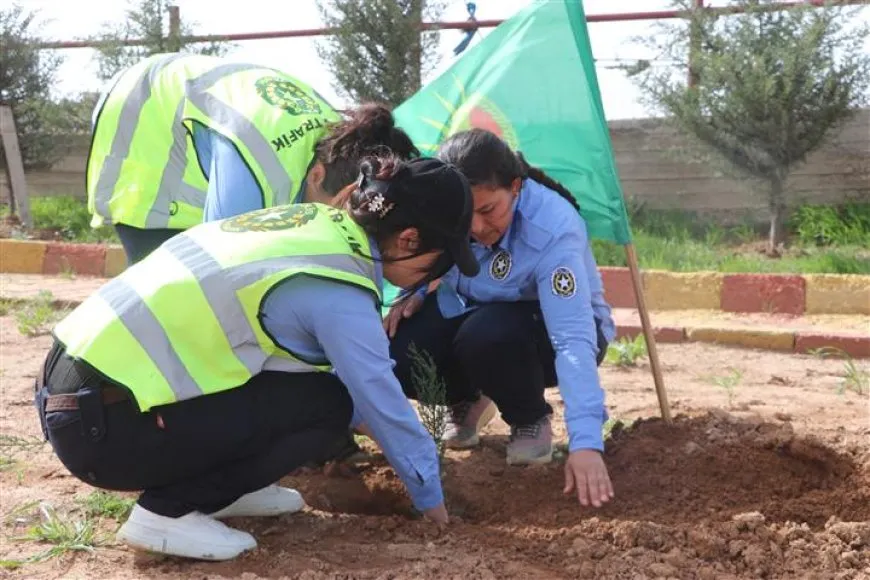 Li gelek bajaran dar hatin çandin û pêşangeheke pirtûkan hat vekirin