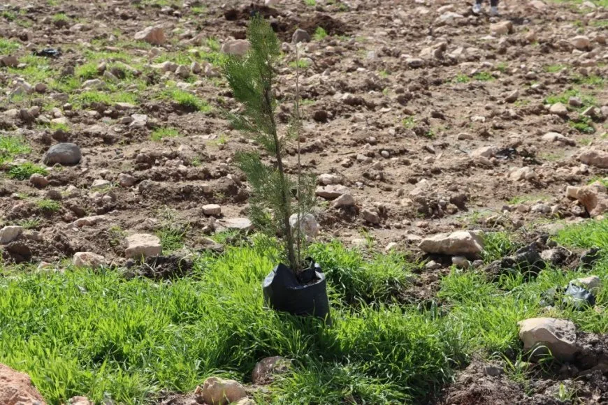 Şaredariya Kobanê bi boneya 4'ê Nîsanê  dar çandin