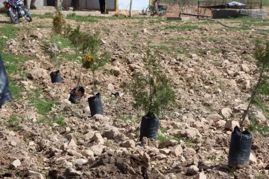 Şaredariya Kobanê bi boneya 4'ê Nîsanê  dar çandin