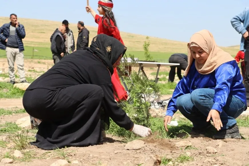 Şaredariya Kobanê bi boneya 4'ê Nîsanê  dar çandin