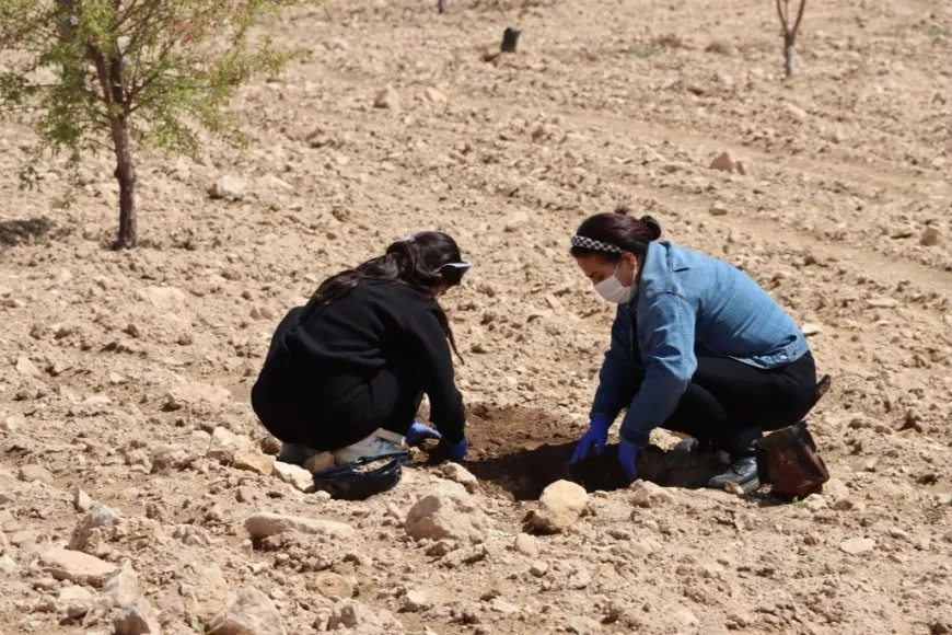 Şaredariya Kobanê bi boneya 4'ê Nîsanê  dar çandin