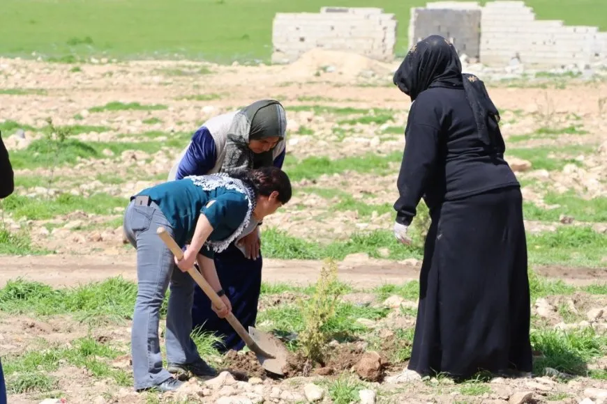 Şaredariya Kobanê bi boneya 4'ê Nîsanê  dar çandin