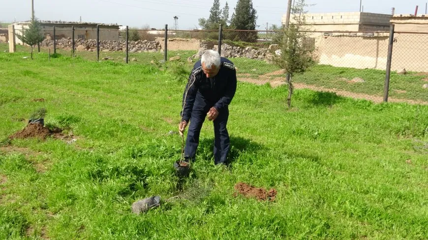 Li Çilaxayê xebata çandina daran