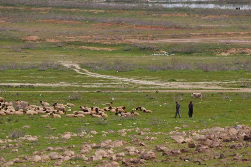 Ji buhara gundewarên Hesekê çend wêne