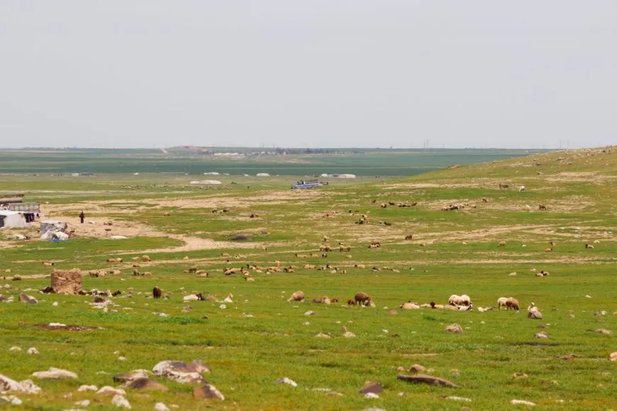 Ji buhara gundewarên Hesekê çend wêne