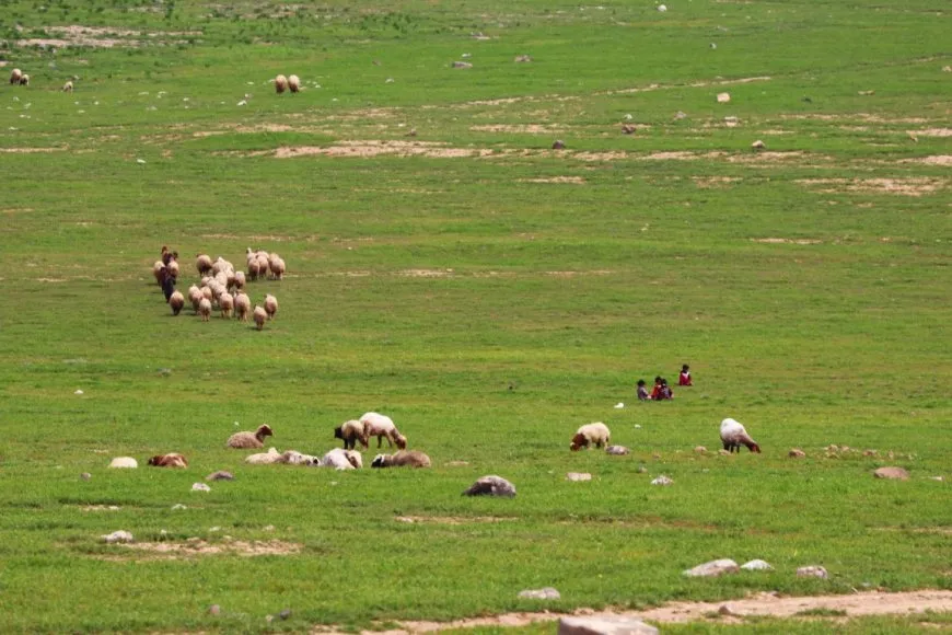 Ji buhara gundewarên Hesekê çend wêne