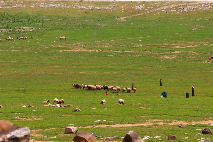 Ji buhara gundewarên Hesekê çend wêne