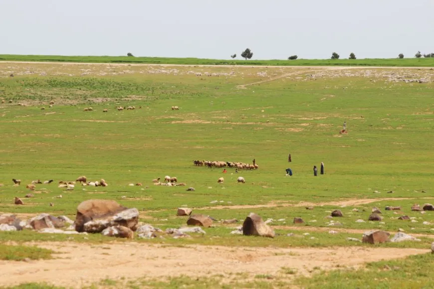 Ji buhara gundewarên Hesekê çend wêne