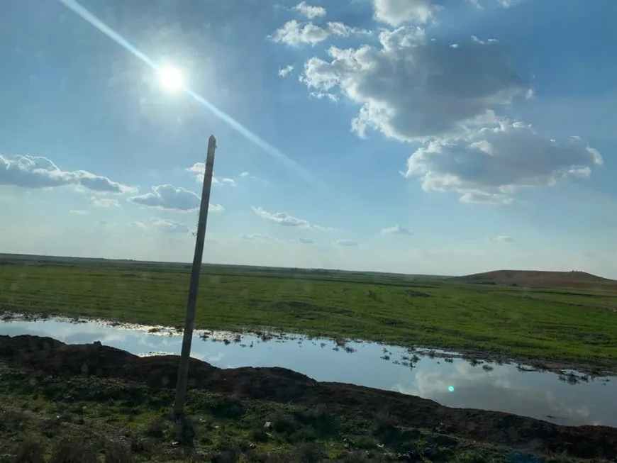 Bi barîna baranê re rêjeya ava binerd li Rojava bilind bûye