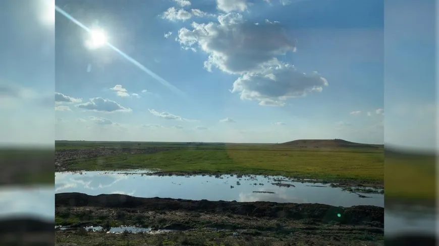 Bi barîna baranê re rêjeya ava binerd li Rojava bilind bûye