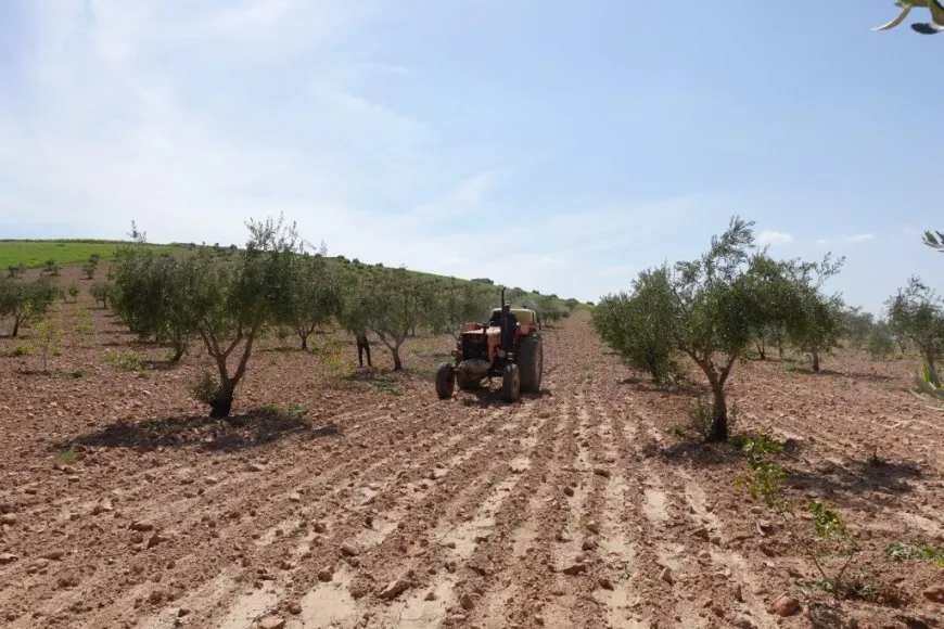 Cotkaran dest bi reşandina dermanan li daran kir