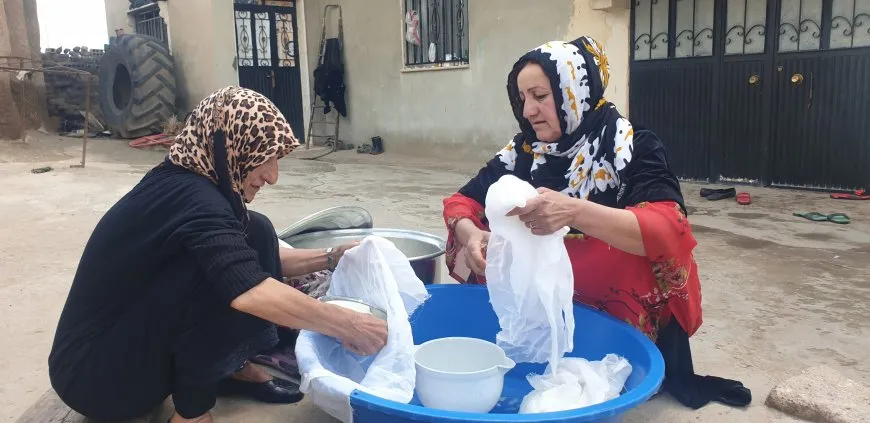 Ji kevneşopên dapîran; penêr, sîrik û lorik