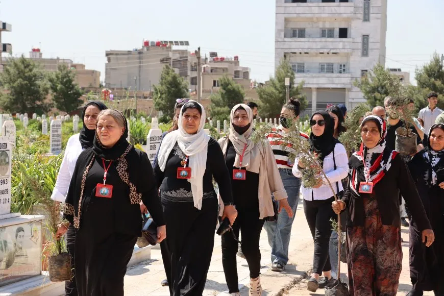 150 dar li Pakrewangeha Şehîd Delîl Sarûxan hatin çandin