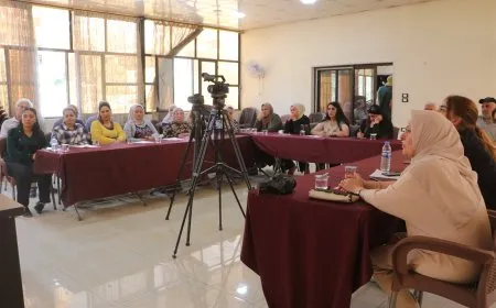 Li Hesekê panela mafên jinan û mafê zimanê dayikê