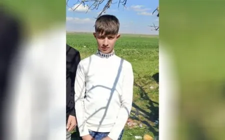 Zarokek ji avahiyekê ket û jiyana xwe ji dest da