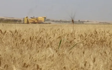 Bihaya genim ferqa polîtîkayên hikumeta demkî û Rêveberiya Xweser aşkera kir