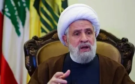 Neîm Qasim: Bêçekkirina Hizbullah qirkirin e