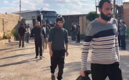 88 dîlgirtî hatin berdan