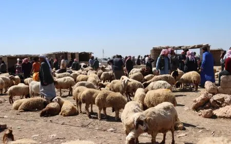 Li Qamişloyê pez gelekî biha bûye 