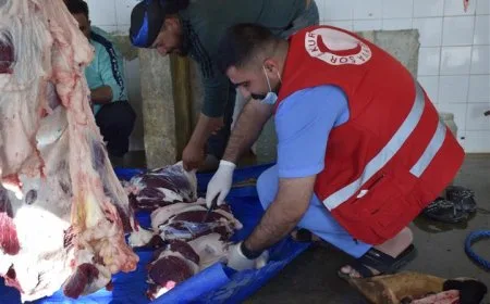 Li Çilaxa, Til Temir û Kobanê serdana malbatên şehîdan