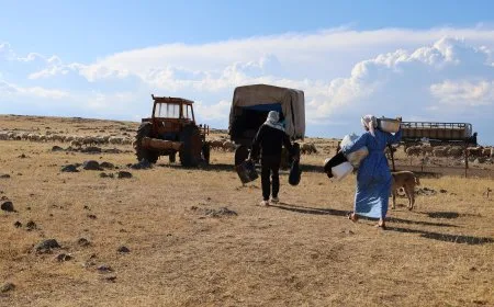 Biharî.. Kevneşopiyeke li devera Aliyan