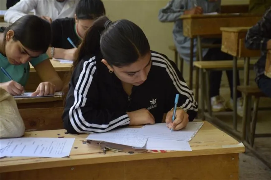 ‘Bila zimanê kurdî di destûra Sûriyeyê de misoger bibe’