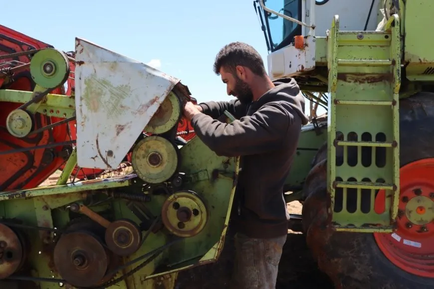 Li Kobanê patoz amade ne û wê piştî 2 rojan dest bi çinînê bikin