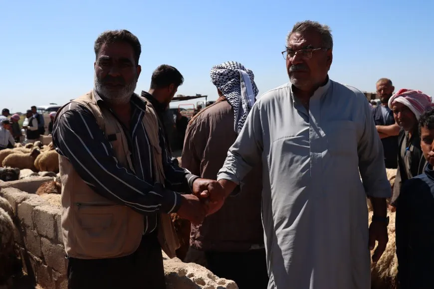 Li Qamişloyê pez gelekî biha bûye 