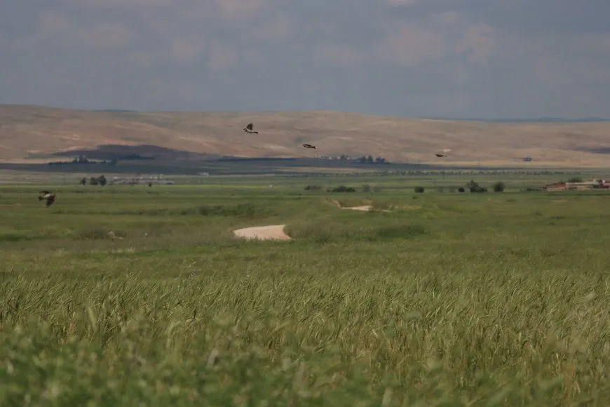 Beriya germahiya dijwar çend dîmenên hênik