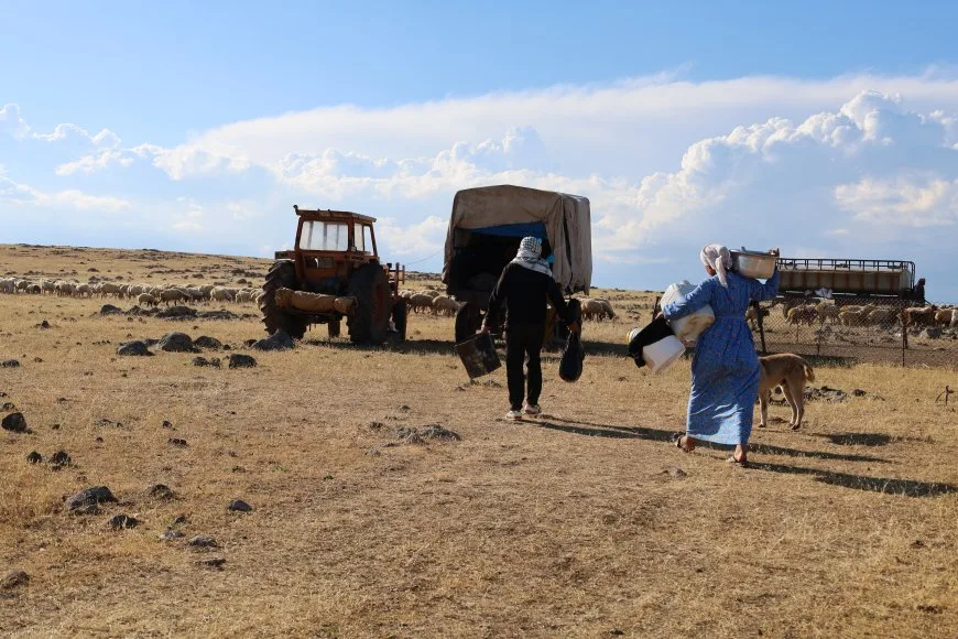 Biharî.. Kevneşopiyeke li devera Aliyan