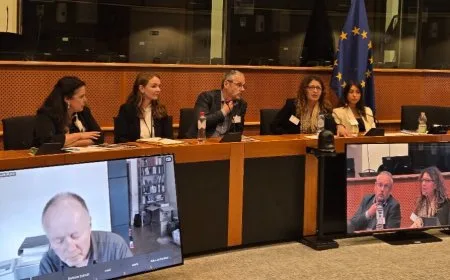 Mîsyona Hiqûqî ya PE'yê rapora 'pêvajoyê' ragihand