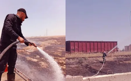 Li Dirbêsiyê û Hesekê şewat hatin vemirandin