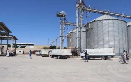 Depoyên Kobanê dest bi wergirtina genim kir, cotkar rûbirûyî zehmetiyan in