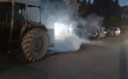 Şaredariya Dirbêsiyê dermanên kêzikan li kolanan dike