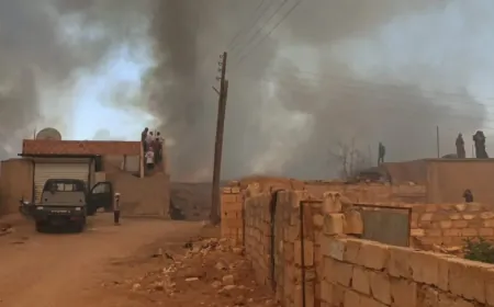 Li Dirbêsiyê 15 donim zevî şewitî