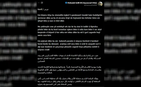 Mehmûd Xelîl Elî êrişa li ser rêya Til Temir-Serêkaniyê şermezar kir