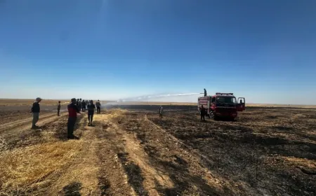Li gundekî Dirbêsiyê 40 donim zeviyê genim şewitî